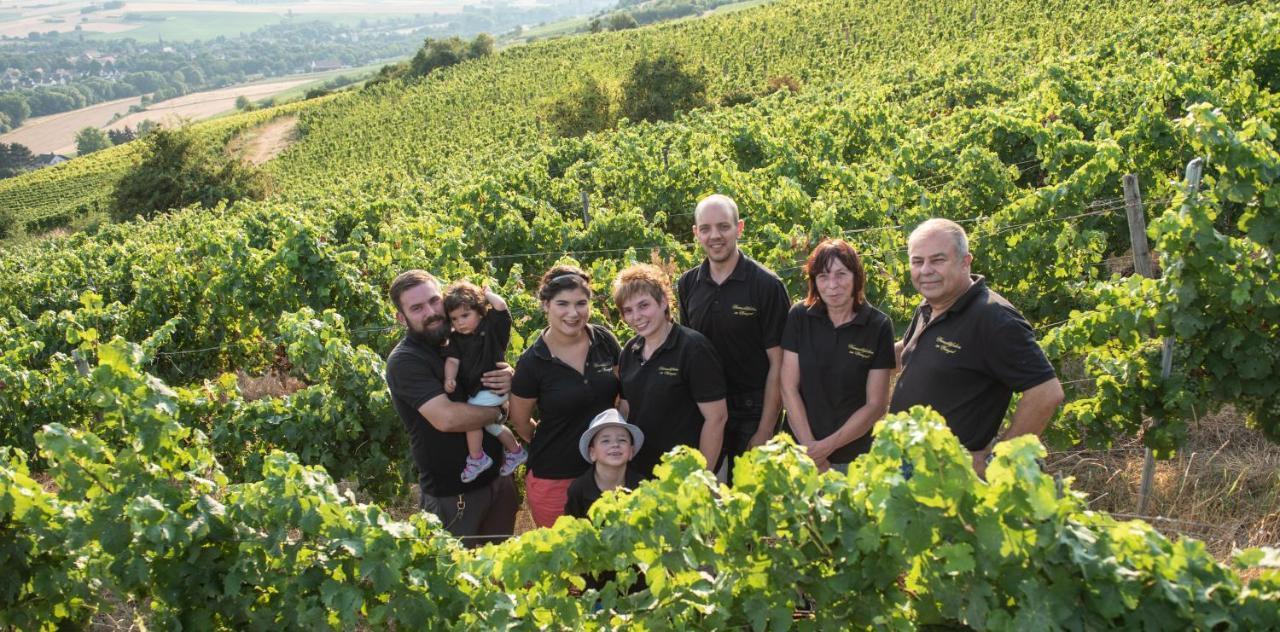 Hotel Weinschloesschen Im Weingut Roos Ilbesheim Exterior foto